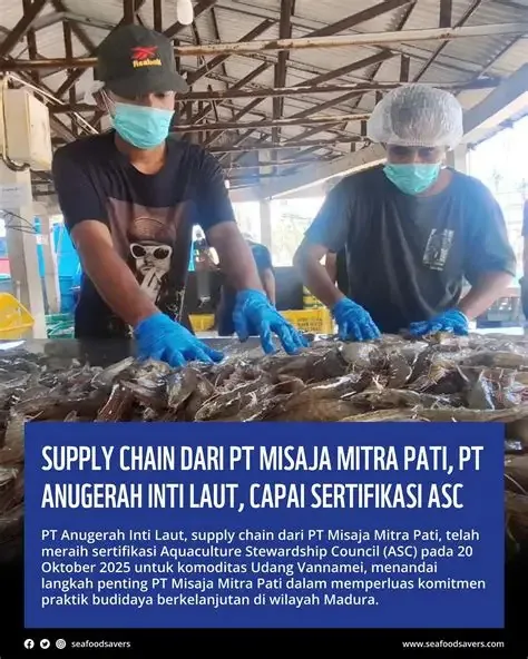 Dokumentasi kegiatan PT. Dongsheng Keji Indonesia - foto 4